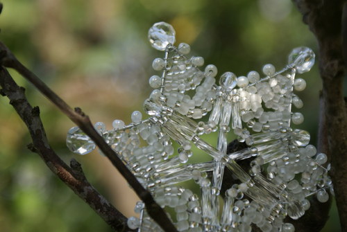 Vločka průzračná.. — foto 3