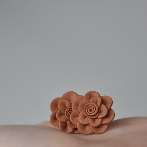 MiniBrown — foto 2