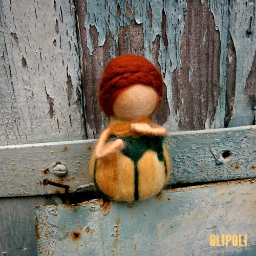 Dýněnka žlutá — foto 4