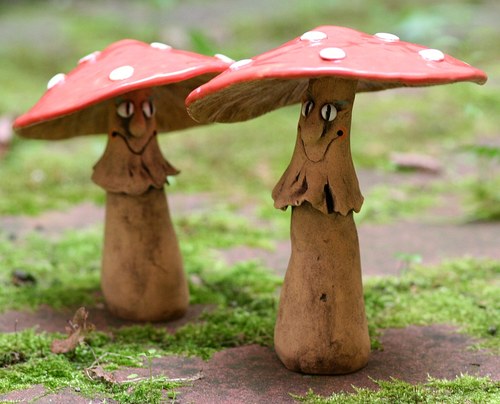 Veselé muchomůrky — foto 6