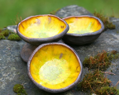 Hadí oko — foto 3