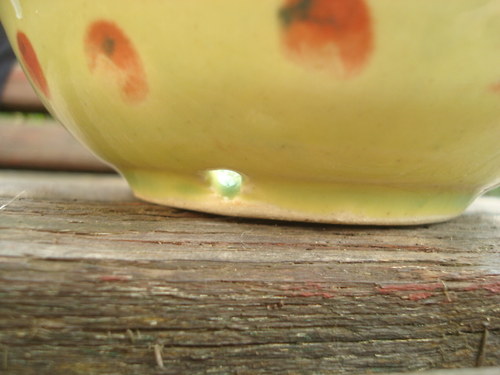 Zelená (mýdlenka) — foto 6