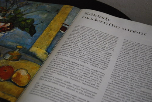 Dějiny umění 8 - Pijoan — foto 6