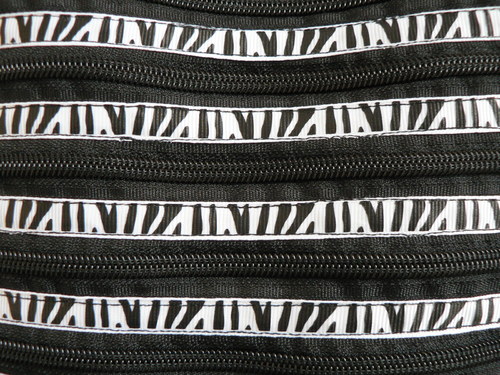 Černá zebra — foto 2
