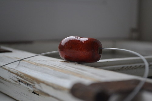 Cihlička — foto 2