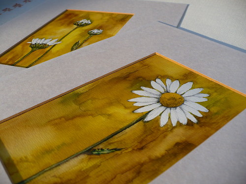 Kopretiny - originální akvarel — foto 2