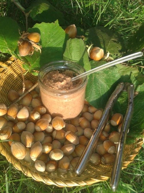 BIO NUTELLA z oříšků a datlí, bez mléka — foto 2