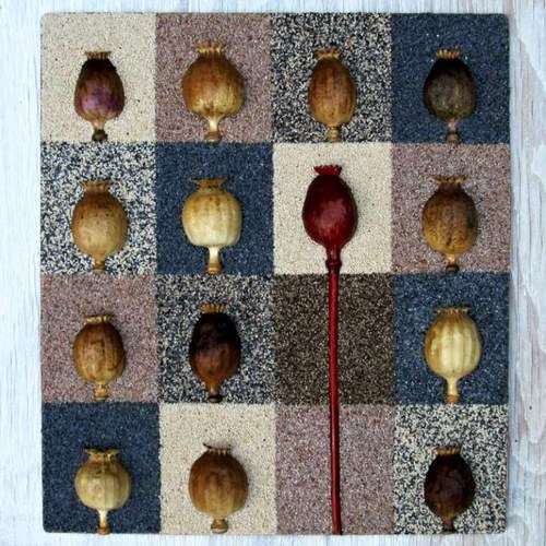 Poppy-art a la Warhol — foto 6