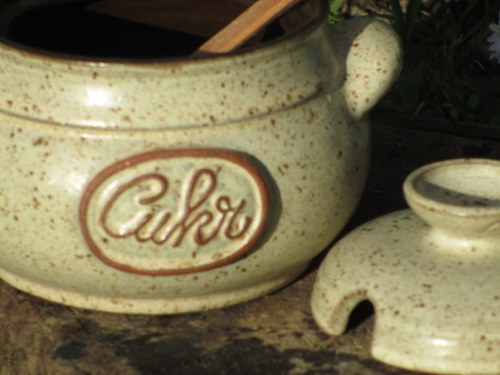 Cukřenka baculatá — foto 4