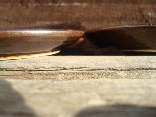 Hnědé zářivé podšálky — foto 3