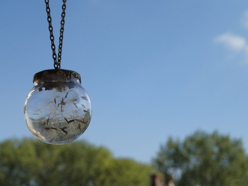 Make a Wish — foto 2