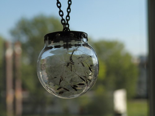 Make a Wish — foto 3