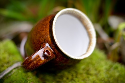 Korbel kameninový — foto 3