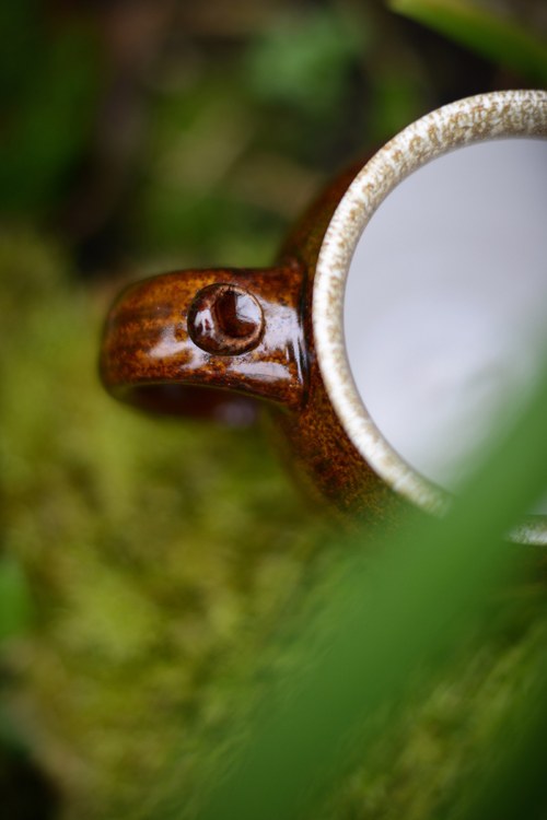 Korbel kameninový — foto 4