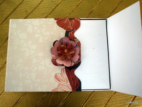 Potpourri — foto 2