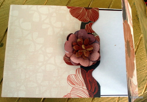 Potpourri — foto 3