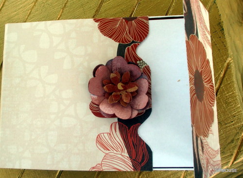 Potpourri — foto 4