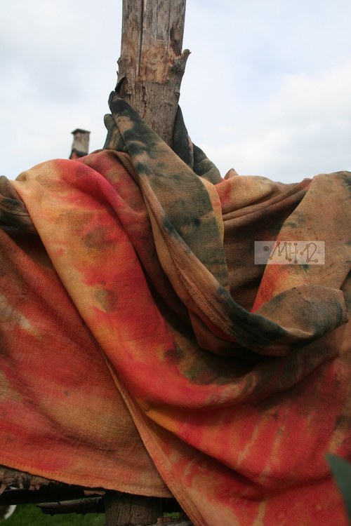 Barvy podzimu IV. — foto 3