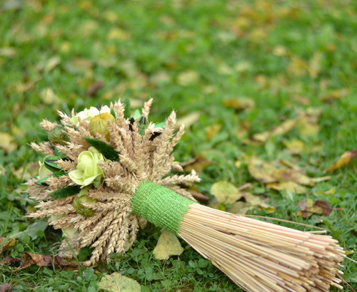 Travička zelená — foto 3