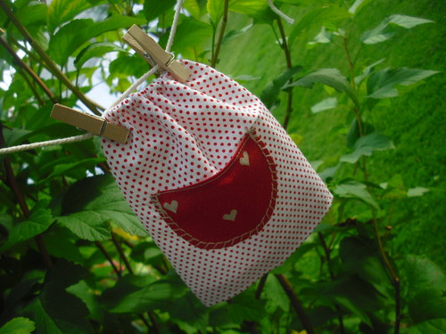 Kočičí šatičky. — foto 2