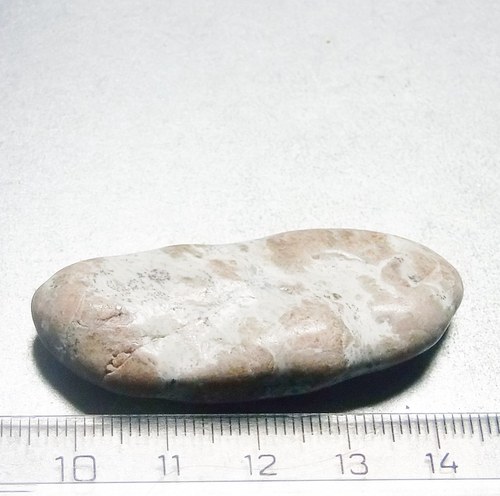 Bludovit - Jeseník - J1 — foto 2