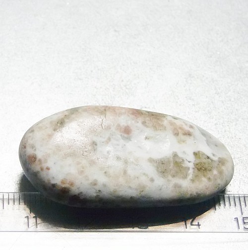 Bludovit - Jeseník - J2 — foto 2