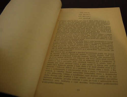 Český král karel — foto 2