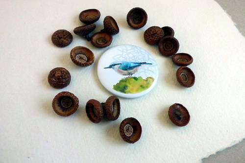 Brhlík lesní. Magnet 56mm. — foto 3