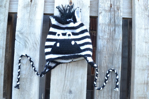 Čepice zebra — foto 2