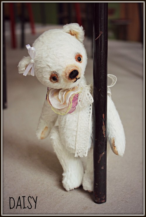 DAISY — foto 2