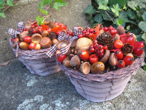 Podzimní košíčky — foto 2