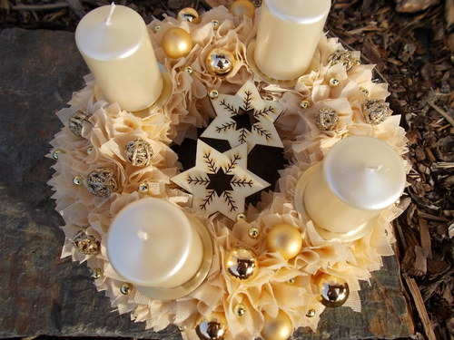 Adventní meruňka — foto 2