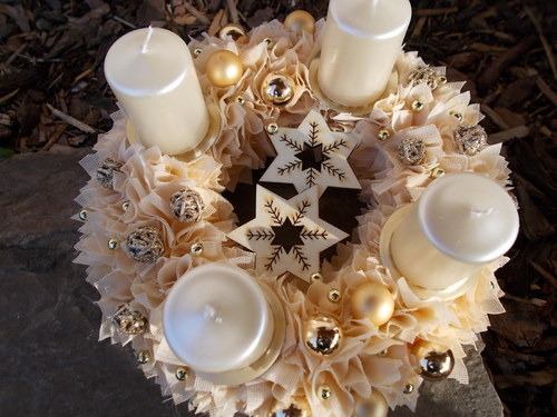 Adventní meruňka — foto 3