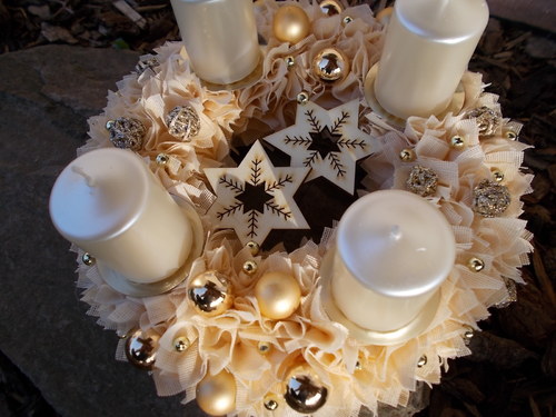 Adventní meruňka — foto 4