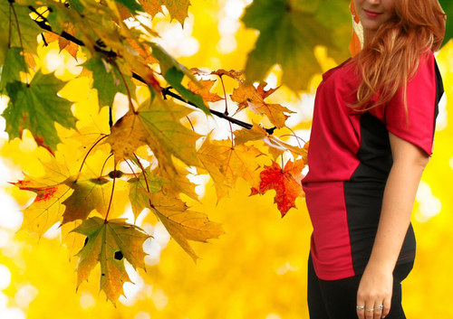 Šiko Color I. — foto 4
