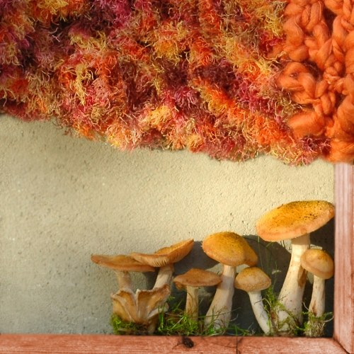 Kolemkrčník podzimní — foto 6