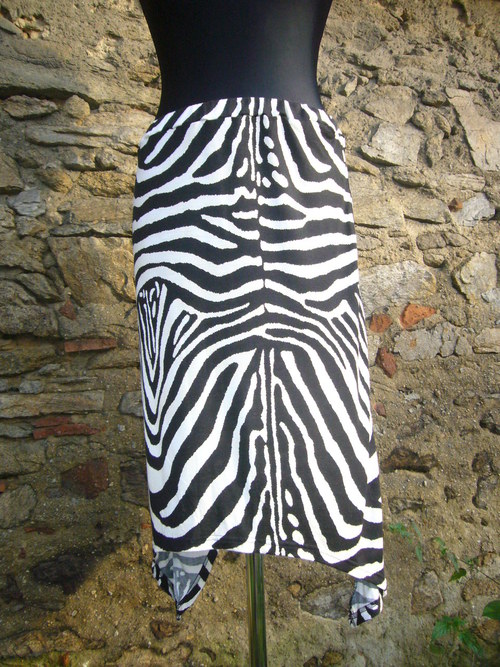 Cípatá zebra - v. 36 — foto 2