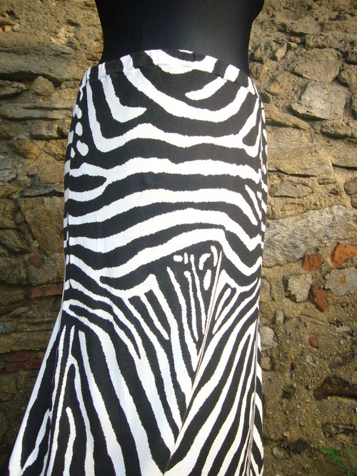Cípatá zebra - v. 36 — foto 4