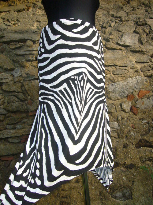 Cípatá zebra - v. 38 — foto 2