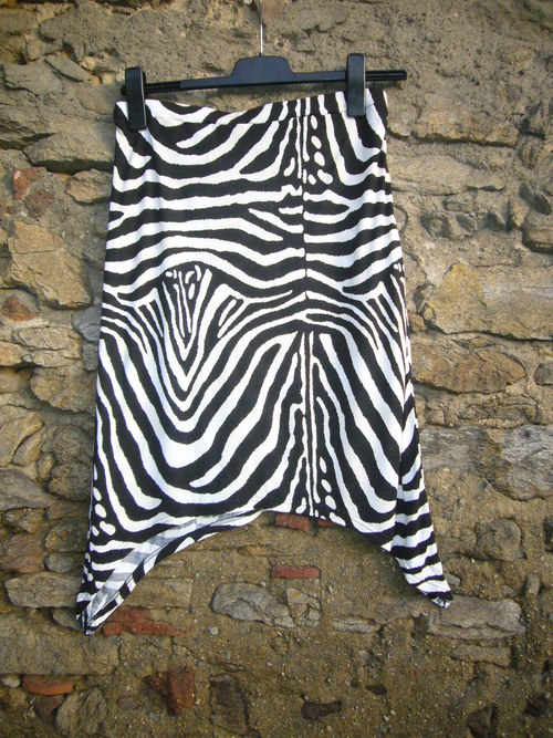 Cípatá zebra - v. 38 — foto 3