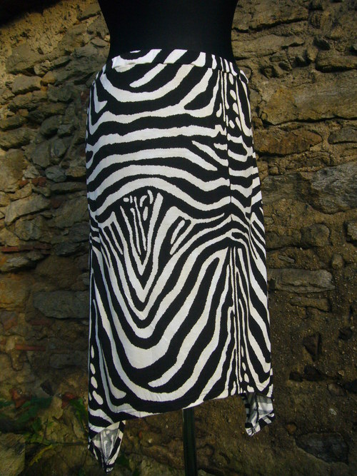 Cípatá zebra - v. 38 — foto 4