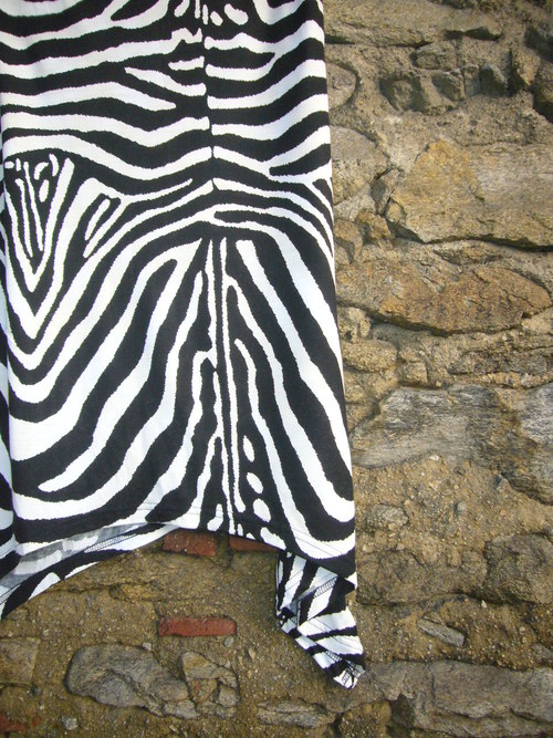 Cípatá zebra - v. 38 — foto 5