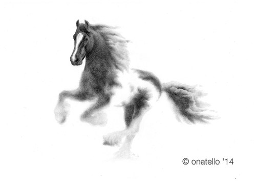 Equine Element - Storm — foto 6