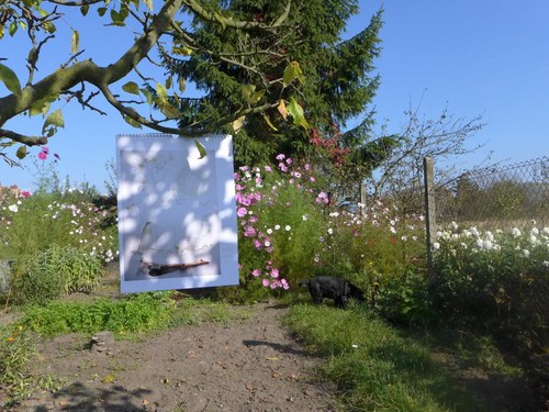 Kalendář Snění 2015 - rezervace. — foto 2