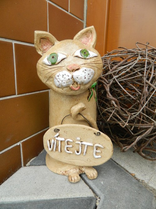 Kočka vítací — foto 4