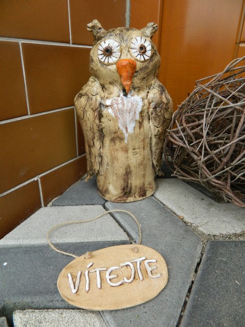 Sova vítací — foto 2