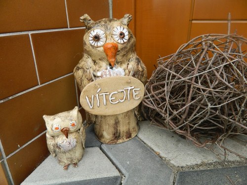 Sova vítací — foto 3