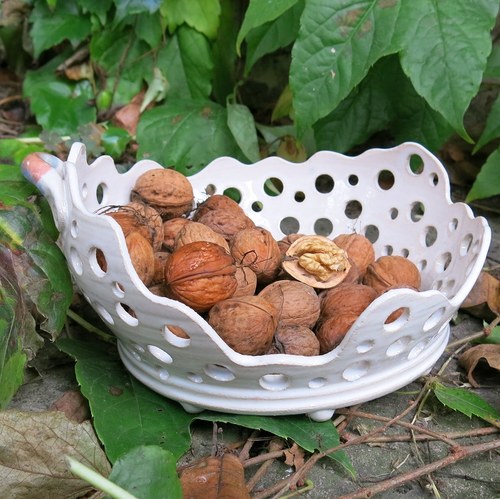 Děravka úplně šišatá — foto 2