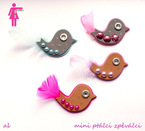 PTÁČEK s modrým pírkem — foto 2