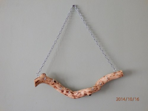Ořechová — foto 3